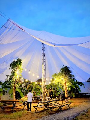 Dù che sự kiện đám cưới cỡ lớn ngoài trời, dã ngoại