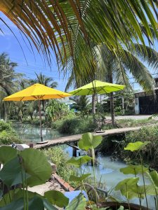 Mẫu Ô dù che nắng chính tâm (màu vàng) đẹp giá rẻ Mẫu Ô dù che nắng chính tâm (màu vàng) đẹp giá rẻ