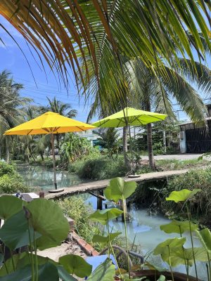 Mẫu Ô dù che nắng chính tâm (màu vàng) đẹp giá rẻ