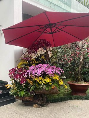 Ô dù lệch tâm tròn 3m cao cấp