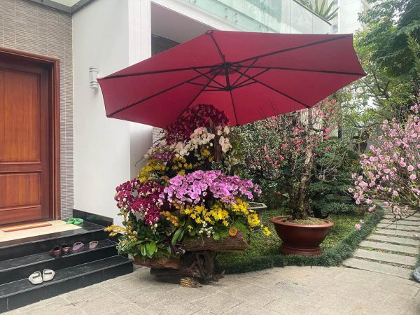 Ô dù lệch tâm tròn 3m cao cấp